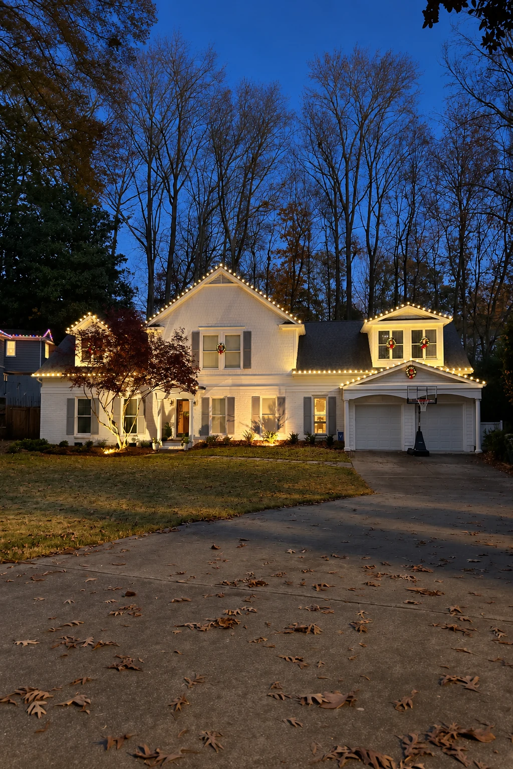 Argonne Forest holiday lighting installation