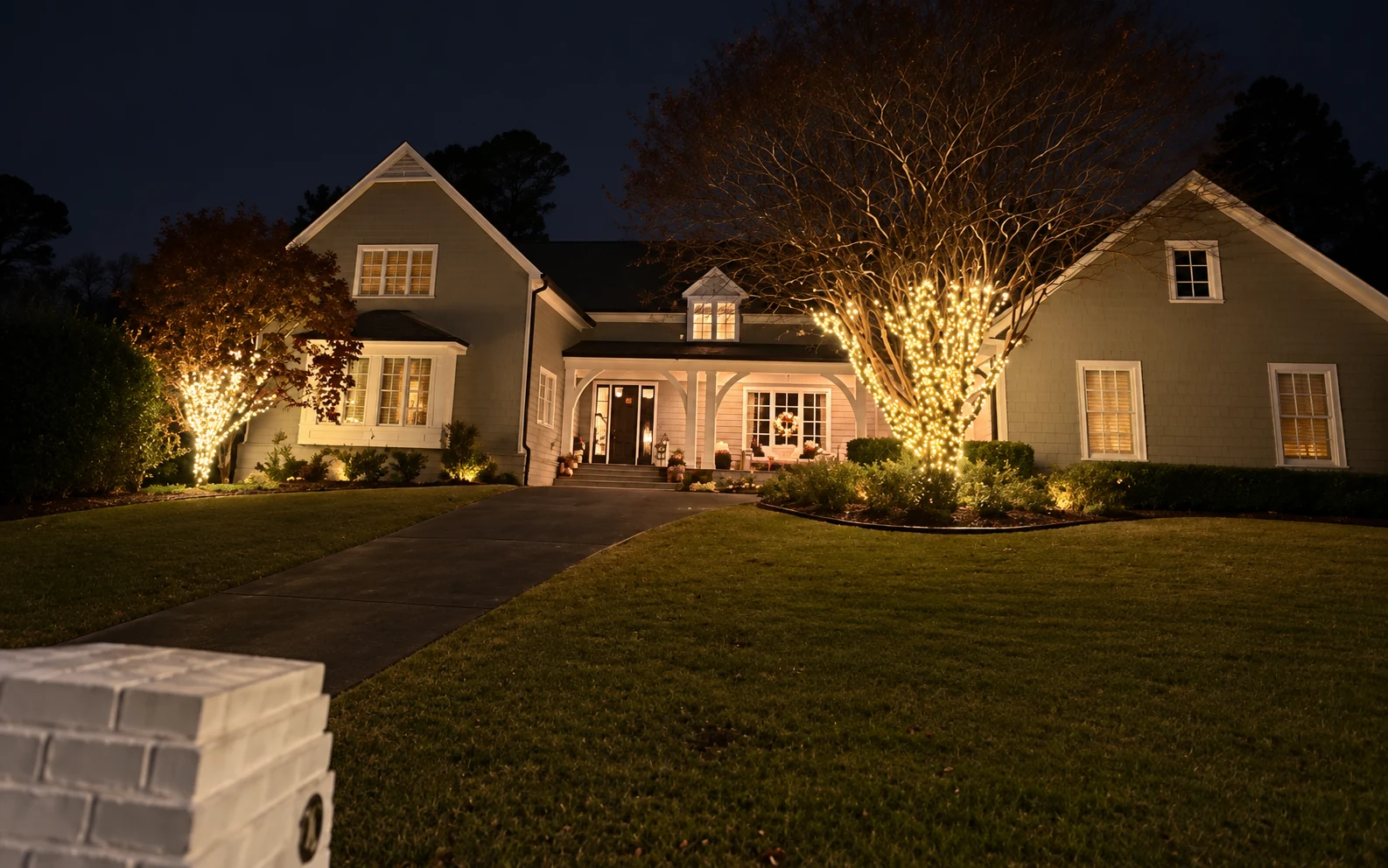 Argonne Forest holiday lighting installation